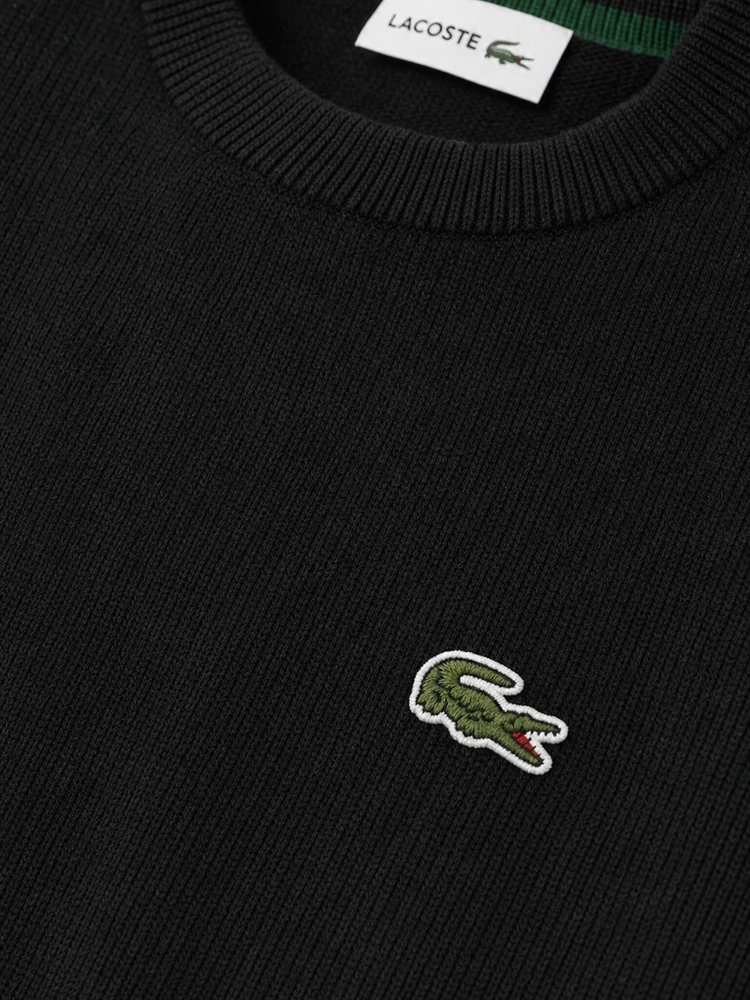 LACOSTE CLASSIC KNITTED JUMPER SET [BUY 2 GET 5] + SUNGLASSES